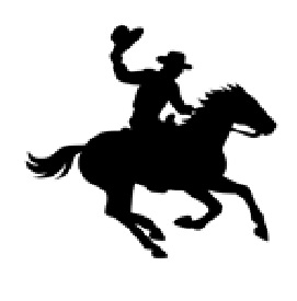 Rodeo2